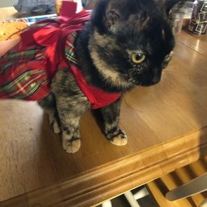 Meet your Posher, Kyla